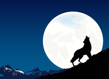 Kurt Gece Vektörü Çizim Çizimi