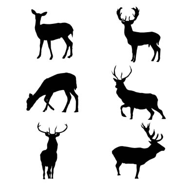 Beyaz Geyik Şeklinde Siyah Siluet