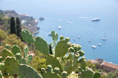 Taormina, Sicilya, İtalya 'daki mavi deniz ve kıyı manzarası