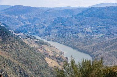 Galiçya, İspanya 'da Ribeira Sacra ve Sil Kanyonu manzarası