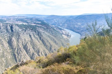 Galiçya, İspanya 'da Ribeira Sacra ve Sil Kanyonu manzarası