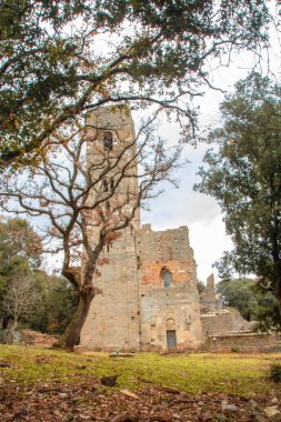 San Rabano Abbey kompleksi, İtalya 'nın Toskana bölgesindeki Uccellina Ulusal Parkı' nda yer almaktadır.