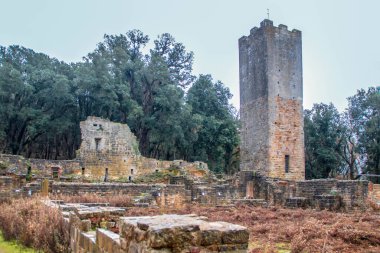 San Rabano Abbey kompleksi, İtalya 'nın Toskana bölgesindeki Uccellina Ulusal Parkı' nda yer almaktadır.