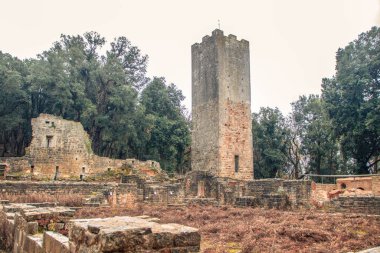 San Rabano Abbey kompleksi, İtalya 'nın Toskana bölgesindeki Uccellina Ulusal Parkı' nda yer almaktadır.