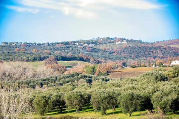 Landskap Maremma Landsbygden Toscana Italien — Stockfoto