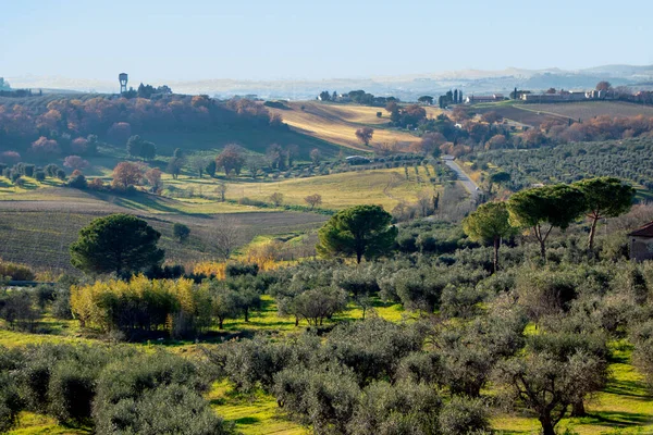 Landskap Maremma Landsbygden Toscana Italien — Stockfoto