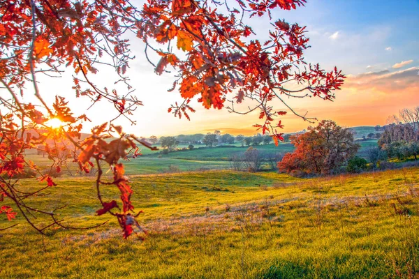 stock image Landscape of Maremma countryside at sunset in Tuscany, Italy