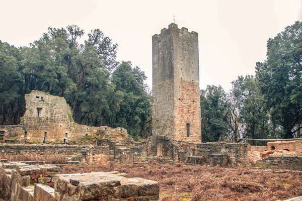 stock image The complex of San Rabano Abbey, situated in the woods of Uccellina national park, in Tuscany, maremma region , Italy