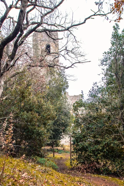 サンラバノ修道院の複合体は トスカーナ州 マラマ地域 イタリアのウチェリーナ国立公園の森の中に位置しています — ストック写真