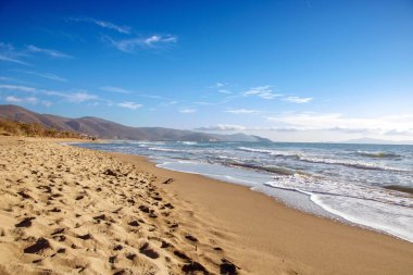 Maremma Ulusal Parkı 'ndaki güzel kumlu plaj Toskana, İtalya' daki doğal rezerv.