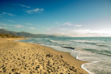 Maremma Ulusal Parkı 'ndaki güzel kumlu plaj Toskana, İtalya' daki doğal rezerv.