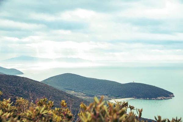 stock image landscape of the coast in Maremma, at Uccellina national park, Grosseto province in Tuscany. Italy