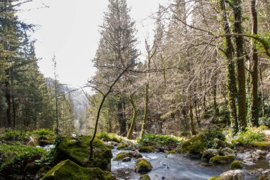 İtalya 'nın Campania bölgesindeki Caserta eyaletinde, Matese dağlarındaki Fontegreca şelalesi ve selvi ağaçları.