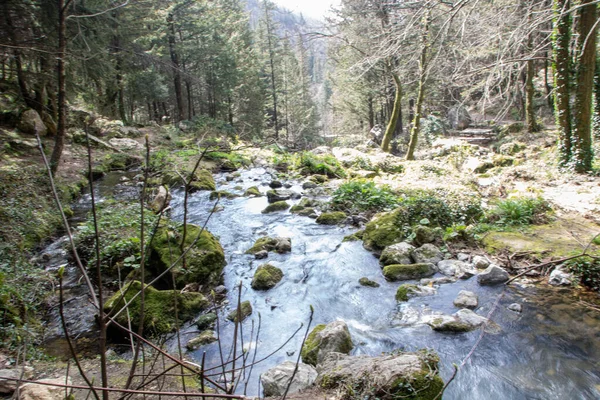 Δάση Κυπαρισσιών Και Καταρράκτης Του Fontegreca Στα Βουνά Matese Επαρχία — Φωτογραφία Αρχείου