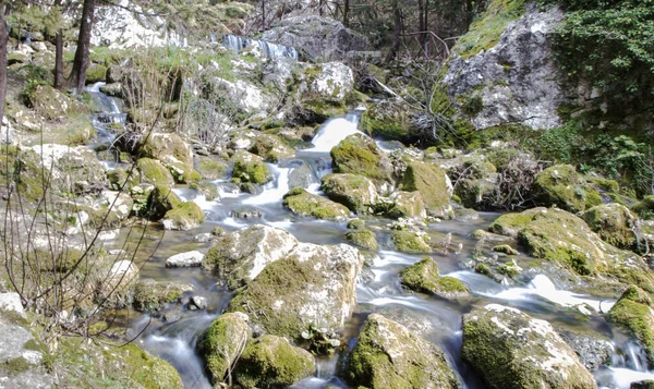 意大利坎帕尼亚Caserta省Matese山区的柏树林和Fontegreca瀑布 — 图库照片