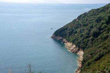 Vivara Adası, Procida, Napoli, İtalya 'da doğa koruma ve koruma vahası.