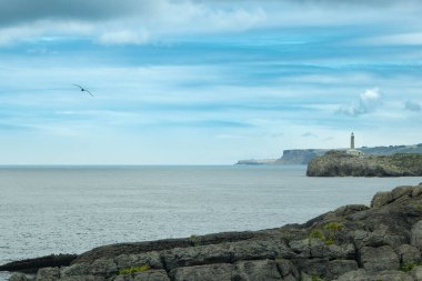 Mouro Adası (İspanyolca: Isla de Mouro), İspanya 'nın Santander kentindeki Magdalena Yarımadası' nın açıklarında bulunan Biscay Körfezi 'nde küçük ıssız bir ada.