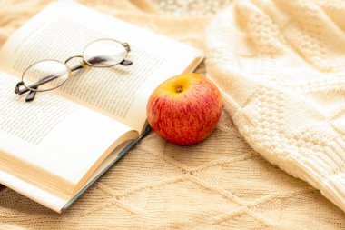 Kırmızı elmalı ve kitaplı rahat kazaklar.