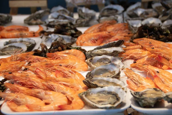 rae oysters and shrimps in the market of Porto , Portugal