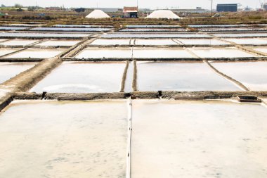 Aveiro 'nun Tuz Tavaları, Salinas de Aveiro, Portekiz