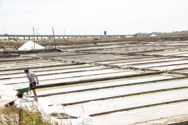 Aveiro, Portekiz 'de, 30 - 08 - 2023, Salinas de Aveiro, Portekiz olarak bilinen Tuz Tavaları