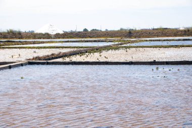 Aveiro 'nun Tuz Tavaları, Salinas de Aveiro, Portekiz