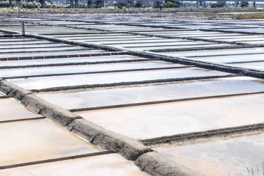 Aveiro 'nun Tuz Tavaları, Salinas de Aveiro, Portekiz