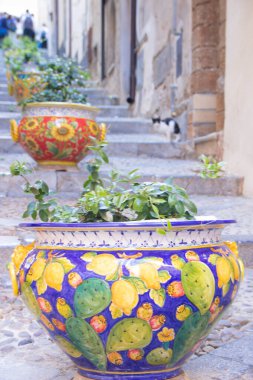 Cefalu, Sicilya, İtalya 'da bir merdivende saksı dikmek