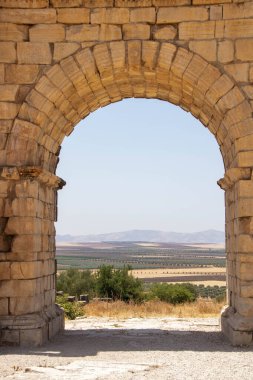 Fas 'ın Meknes ilindeki Volubilis Arkeolojik Alanı