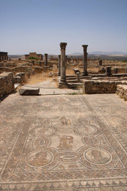 Fas 'ın Meknes ilindeki Volubilis Arkeolojik Alanı