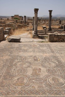 The Archaeological Site of Volubilis in the province of Meknes, Morocco clipart