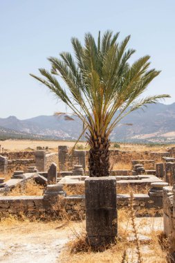 The Archaeological Site of Volubilis in the province of Meknes, Morocco clipart