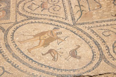 Fas 'ın Meknes ilindeki Volubilis Arkeolojik Alanı