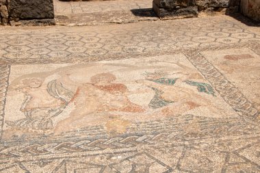 The Archaeological Site of Volubilis in the province of Meknes, Morocco clipart