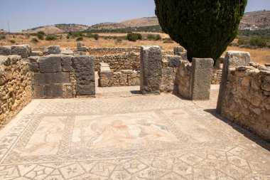 Fas 'ın Meknes ilindeki Volubilis Arkeolojik Alanı
