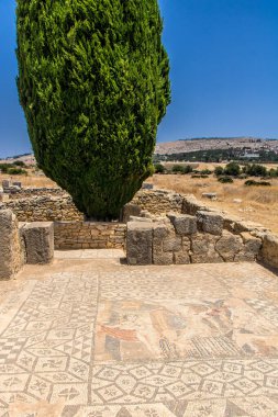 Fas 'ın Meknes ilindeki Volubilis Arkeolojik Alanı