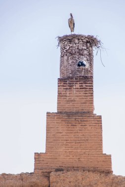 Marakeş, Fas 'taki El Badi Sarayı' nın çatısındaki leylekler.