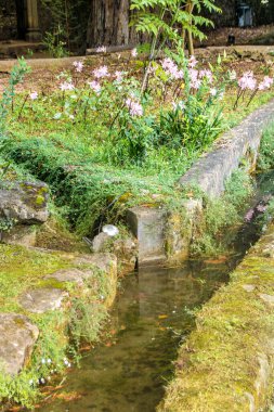 Igreja de Santiago, St. Tiago Kilisesi, Portekiz 'in Coimbra bölgesindeki Praa do Comrcio' da yer almaktadır..