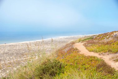 Praia do Norte 'nin (Kuzey Sahili) Nazare, Portekiz Oeste bölgesi, dev beyaz dalgaları nedeniyle sörf durumu ile ünlüdür.