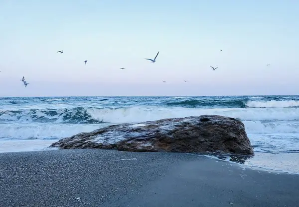 Yumuşak dalgalı sakin deniz manzarası, kıyıda büyük bir kaya ve pastel renkli gökyüzünde süzülen martılar. Yumuşak akşam ışığı ve ritmik okyanus hareketi bir huzur ve özgürlük duygusunu çağrıştırıyor. Seyahat, doğa ve rahatlama için ideal görüntü