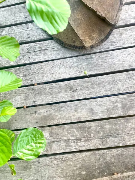 Taze yeşil yapraklarla dokunmuş ahşap bir yüzeyin yakından görüntüsü. Doğal elementler ve insan yapımı yapının birleşimi eşsiz bir zemin yaratır. Doğal dokular, arka planlar veya görüntüler gerektiren tasarımlar için uygundur. 