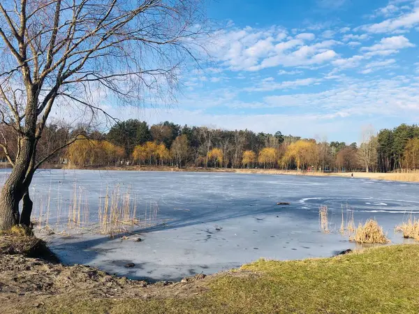 Geniş bir göl boyunca büyüleyici bir manzara. Yüzeyi hala ince bir buz tabakasıyla kaplı. Yumuşak güneşin altında erimeye başlıyor. Yalnız, eğri büğrü bir ağaç belirgin bir şekilde sol kıyıda duruyor, manzaraya bakıyor..