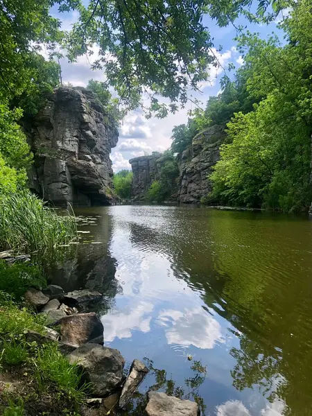 Büyük taşlı sığ nehir ve yemyeşil bitki örtüsüyle çevrili yeşil su bitkileri, sudaki beyaz balıkçıl, yaz doğa manzarası, huzurlu vahşi doğa manzarası, Ukrayna.