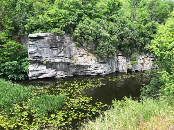 Katmanlı kaya oluşumlarına sahip manzaralı taş uçurumlar yemyeşil ormanlarla çevrili, sakin karanlık suların üzerinde su zambakları ve sazlıklarla kaplı, yaz doğa manzarası, sakin açık hava manzarası, Ukrayna.