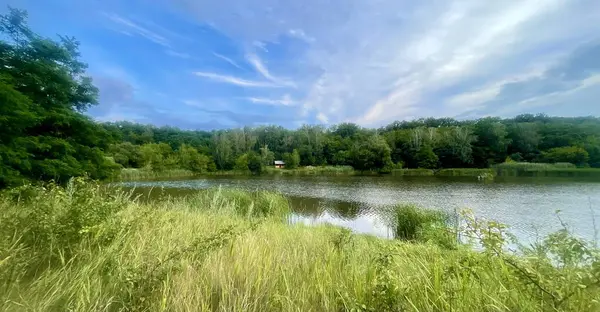Berrak yaz manzarasında yeşil ağaçlar ve ön planda uzun otlarla çevrili sakin bir göl vardır. Karşı kıyıda, sakin suya yansıyan küçük bir ahşap kulübe görülebilir. Gökyüzü yumuşak bulutlar ve gölgelerle süslenmiş.