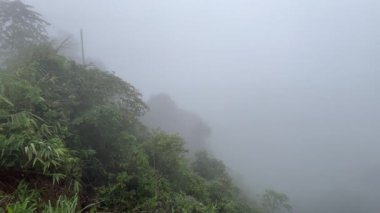 Sabah sisi, yemyeşil bir kanyonu sarar ve sakin bir kaçış yaratır. Çevre turizmi, doğa inzivaları, sisli manzaralar ve macera gezileri için ideal. Yavaş çekim video manzarası.