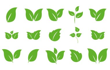 Düz bir Web Yeşil Yaprak simgesi. Yaprak simgesi seti. Doğa simgesi, yaprak vektör illüstrasyonu