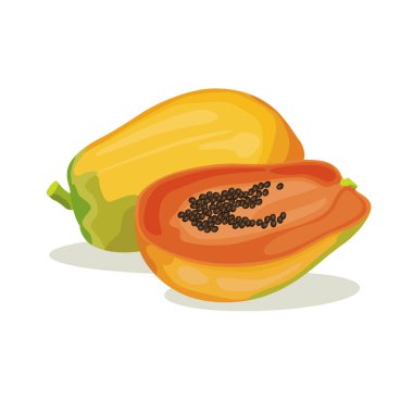 Vektör demeti papaya. Papaya tropikal bir meyve.