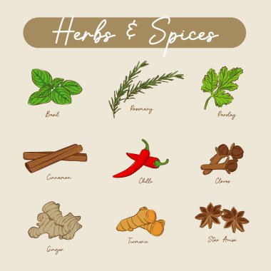 Bitkiler ve baharatlar için çizgi vektör etiketleri. Karabiber, beyaz biber, kimyon, kişniş, köri, safran, nane, adaçayı, kekik..