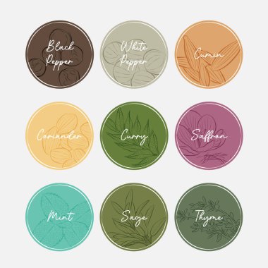 Bitkiler ve baharatlar için bir dizi çıkartma. Karabiber, beyaz biber, kimyon, kişniş, köri, safran, nane, adaçayı, kekik..